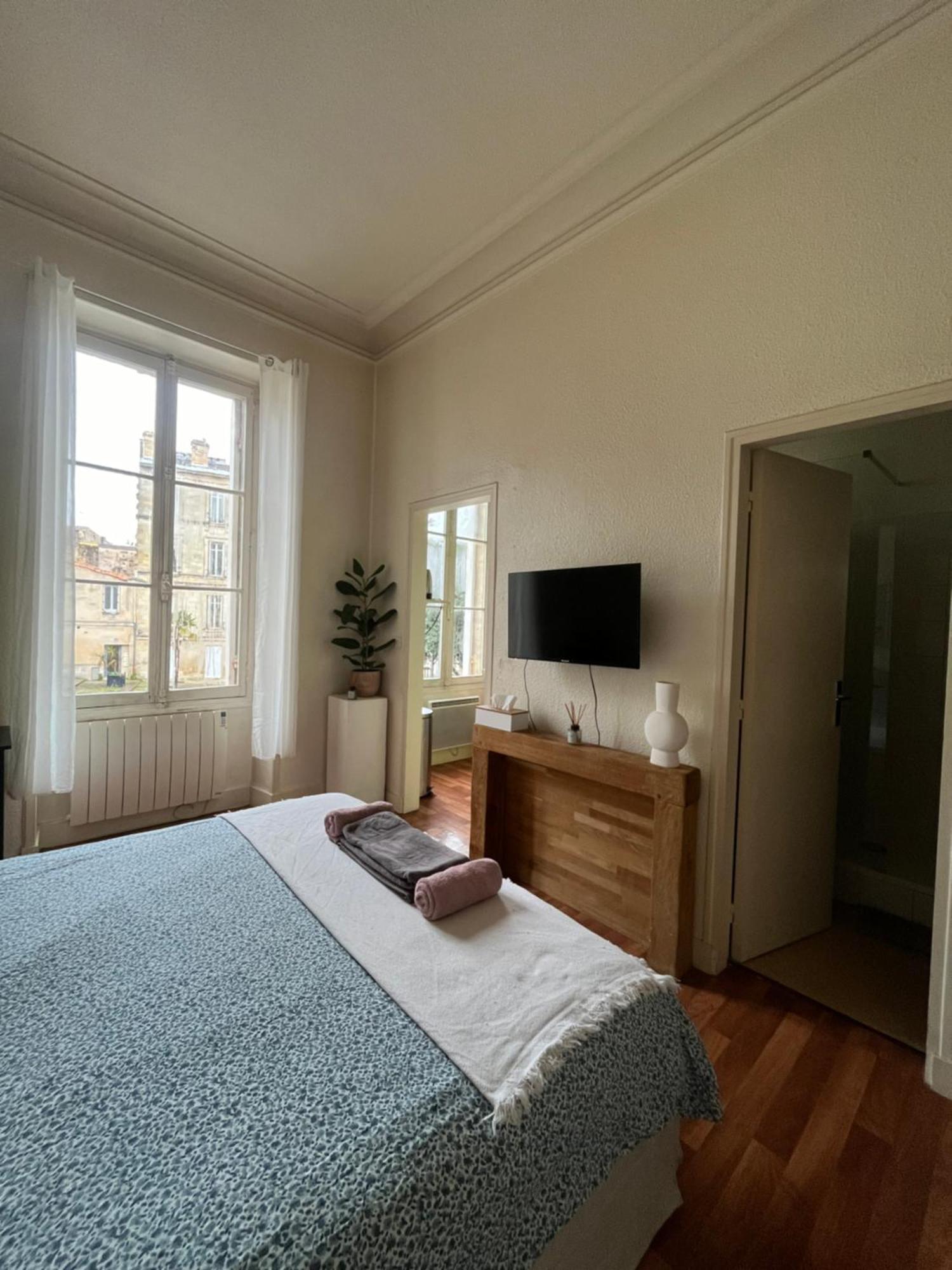 Dans Le Centre Apartment Bordeaux